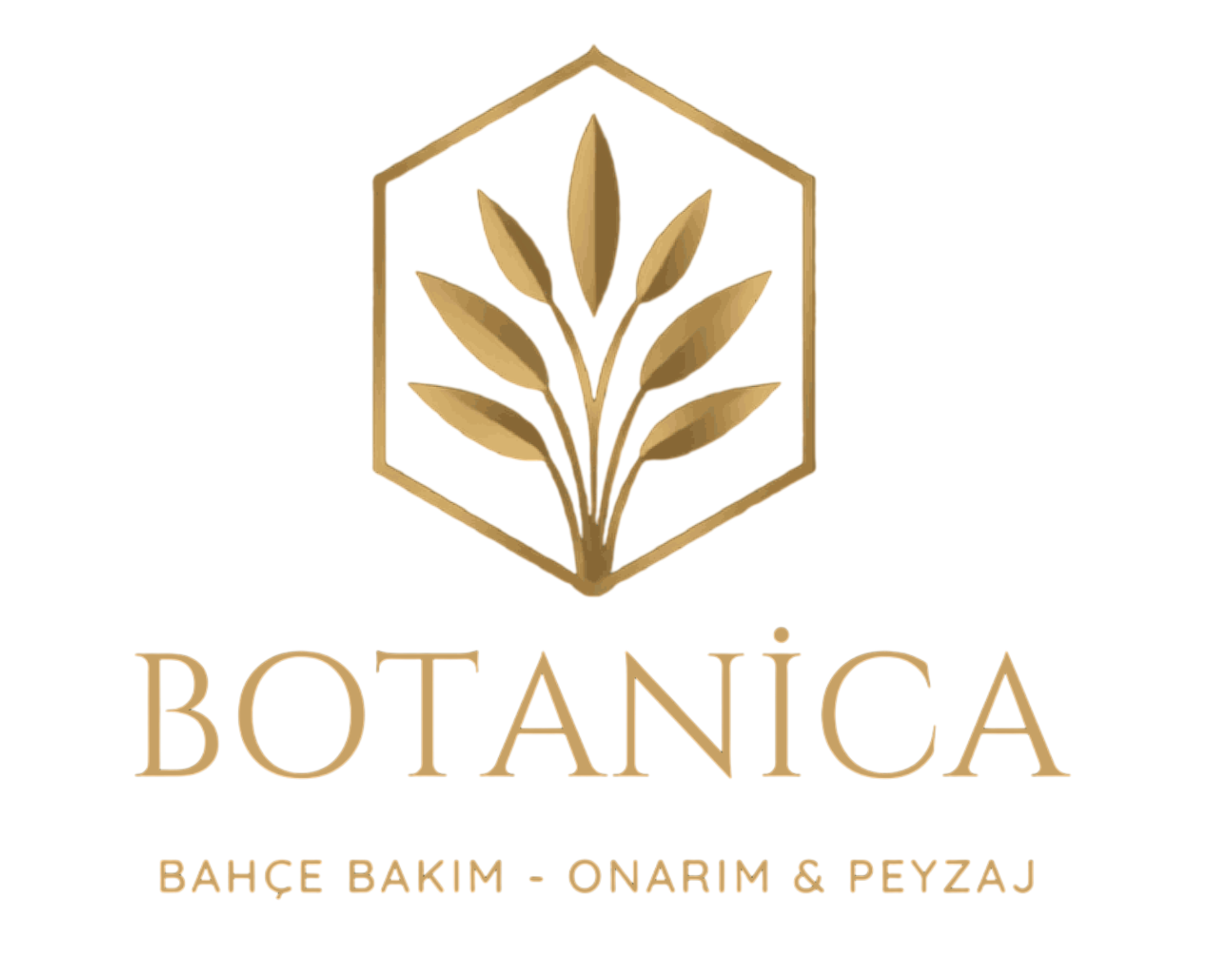 Botanica